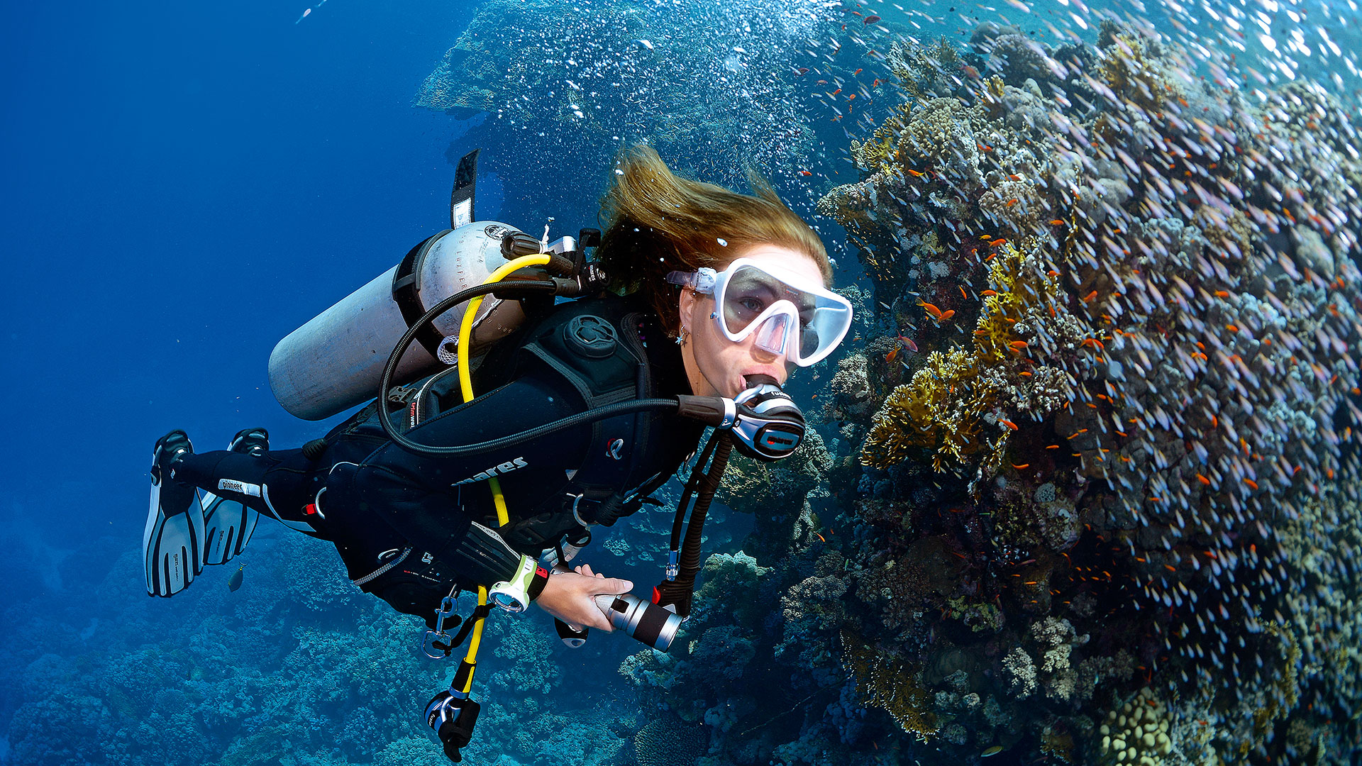Duiker in helder blauw water